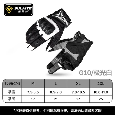 Winter, Motorcycle Safety Supplies - g10-aurora-white-m