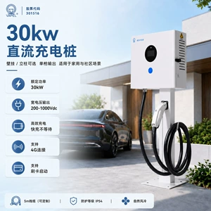 Nucleus Zhongyuantong 30Kw Household New Energy Vehicle National Standard Nine-Port Dc Charging Station, App Reservation, Card Swiping