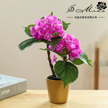 ���^С����ٻ��辰�������컨�ҾӔ[���b�Ʒ���滨�S�ҷ�������