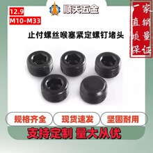 ���Sֱ�N12.9������PG1.5ֹ���ݽz906�����o����ᔶ��^M10~M33