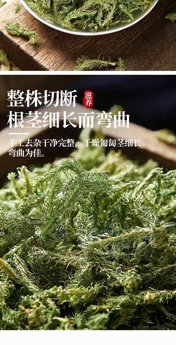Shen Jin Cao (Lycopodium clavatum) — Dried Clubmoss Herb for Foot Soaks & Herbal Wine quality and texture
