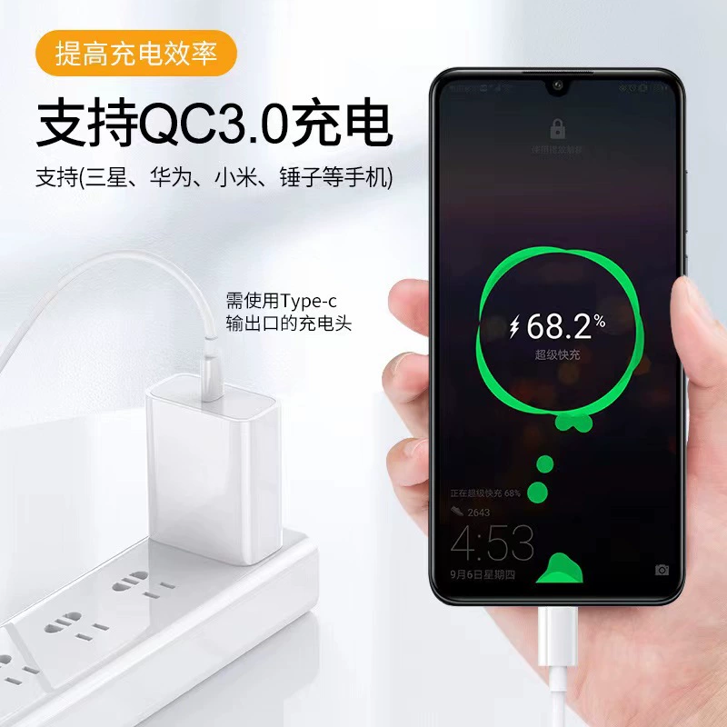PD100W Type-C TO C gold-plated data cable 5A fast charging with E-Marker chip super flash charging