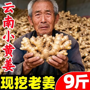 生姜老姜
