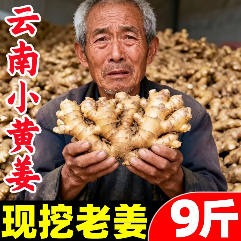 正宗云南小黄姜9斤黄姜老姜干姜新鲜蔬菜嫩姜月子仔姜老生姜批发