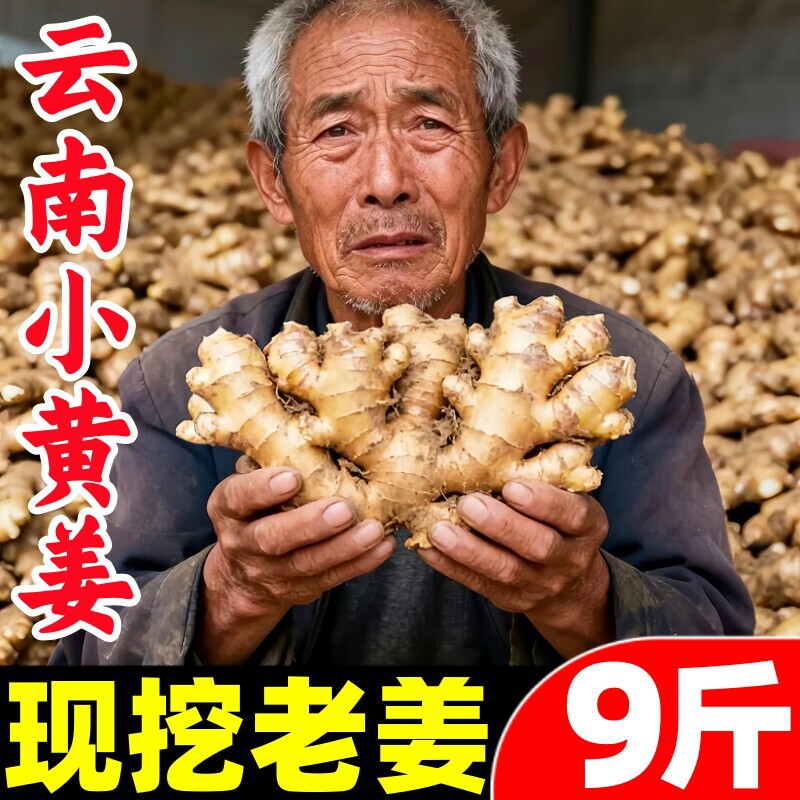 Authentic Yunnan Turmeric 4.5kg Turmeric, Old Ginger, Dried Ginger, Fresh Vegetables, Young Ginger, Postpartum Ginger, Old Ginger Wholesale Authentic Yunnan Turmeric 4.5kg Turmeric, Old Ginger, Dried Ginger, Fresh Vegetables, Young Ginger, Postpartum Ginger, Old Ginger Wholesale