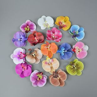 Film phalaenopsis small size wedding flower wall flower arrangement small flower creative DIY holiday gift box with flower decoration