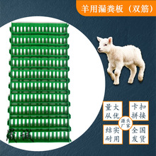 羊用塑料漏粪板  羊床漏粪板塑料羊床 聚丙烯纯原料漏粪板