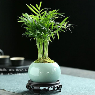 ���主�F��Ҭ�������k���������҃ȾGֲ�Pβ���ļ����������Bֲ��