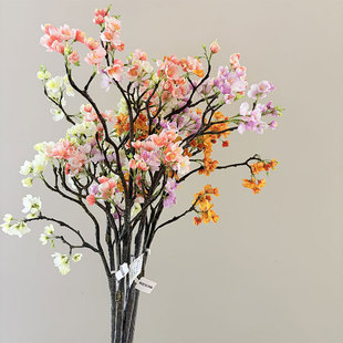 ���ķ�������ָ�ѻ� ��c �Ҿ��b��쾰�� ���滨��c���û����l