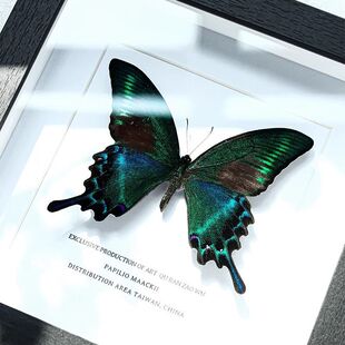 �G�����P��������˱����[���b��ֹ���Ʒ���նY������Ů����