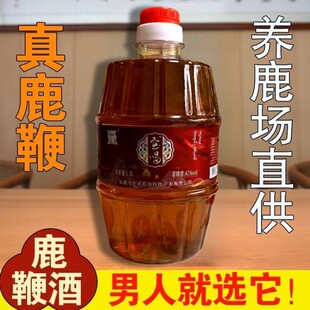 ����Ͱ��¹�ޡ������p���Ʒ¹�޾�¹��Ѫ����÷��¹�B������ʿ
