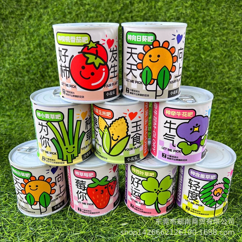 Miniature Potted Plants in Cans for Indoor Desktop Decoration, Small Gifts for Students and Children, Wholesale Decorative Plant Containers