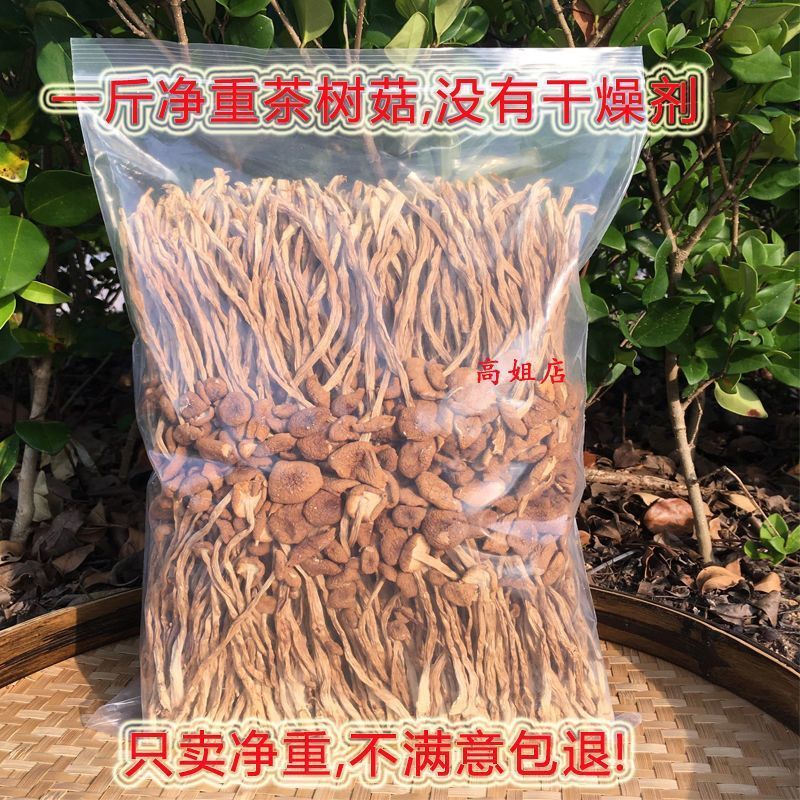 Furuta Chaxingu dried food 2022 fresh Agrocybe Mushroom wholesale Farm Chaxingu Bagged