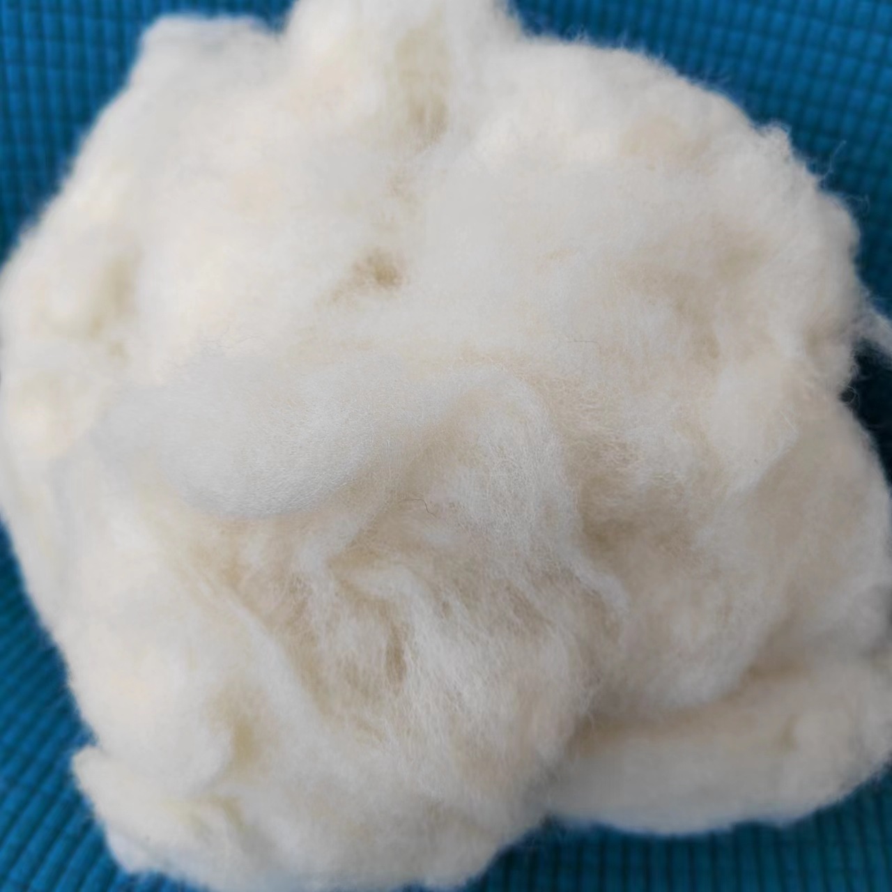 d322216d528377c530b7ea7b7f6245