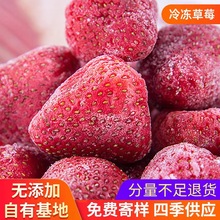 10kg/箱新鲜速冻红颜草莓 冷冻红颜草莓 冷冻水果现货批发