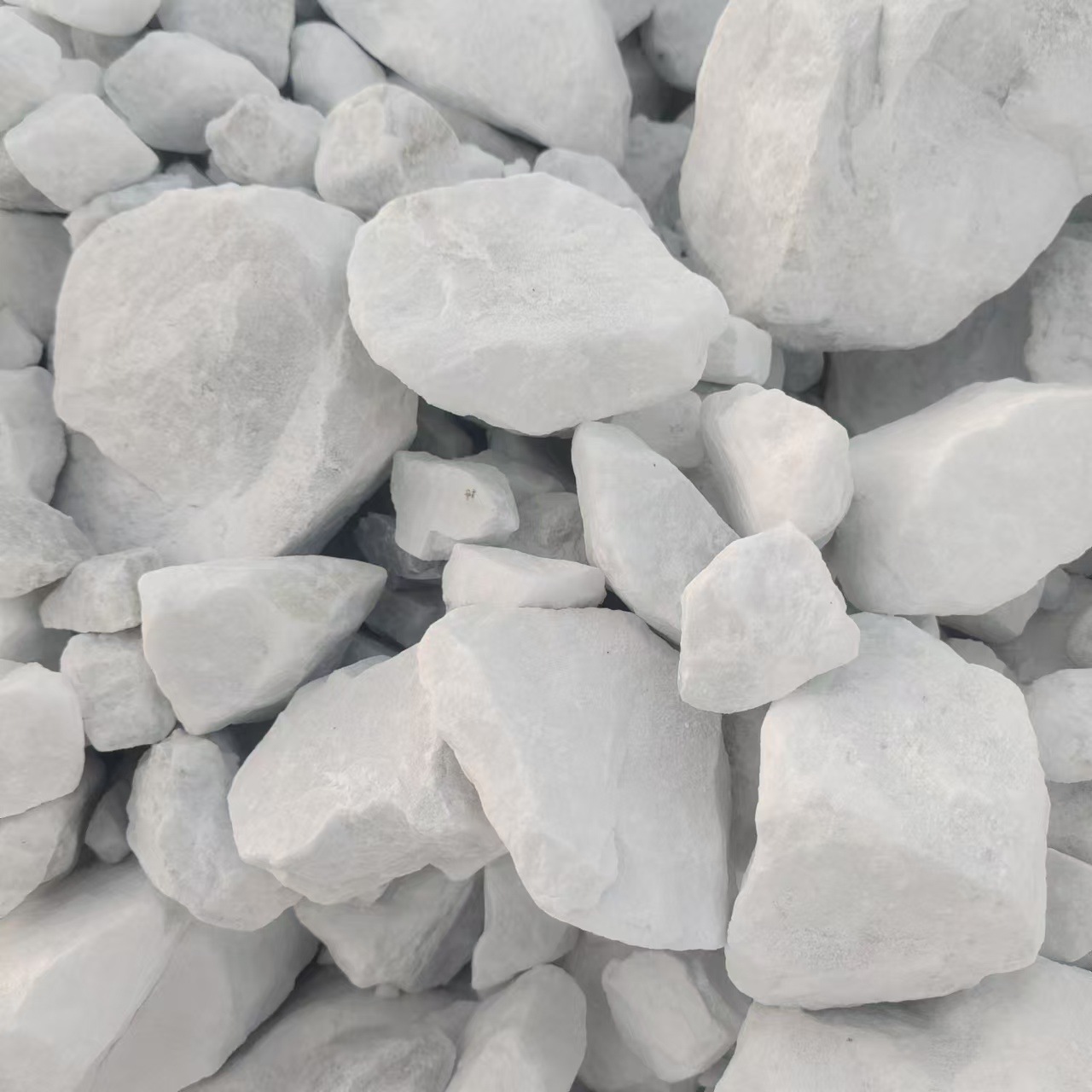 mmexport1730428176656