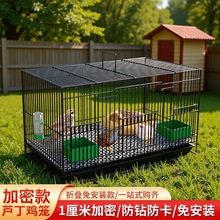 芦丁鸡专用笼加密雏鸡笼大号鹌鹑笼柯尔鸭笼小黄鸭笼室内家用包邮