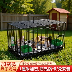 �J���u���û\�����r�u�\��̖�g���\� ����\С�S���\�҃ȼ��ð��]