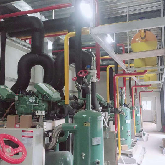 Shanghai Zhaoxue Supply Cold Storage Aquatic Freezer Full Set of Equipment Refrigeration Equipment of Various Sizes Drug Supermarket Cold Storage