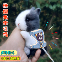 小兔子牵引绳幼兔侏儒兔防挣脱溜兔绳穿的衣服外出可调节伸缩