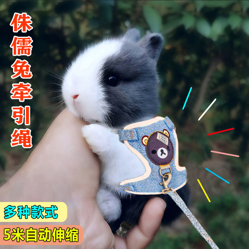 小兔子牵引绳幼兔侏儒兔防挣脱溜兔绳穿的衣服外出可调节伸缩