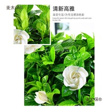 dӻԎ҃ļB滨ܾGֲ͏dˮr̫