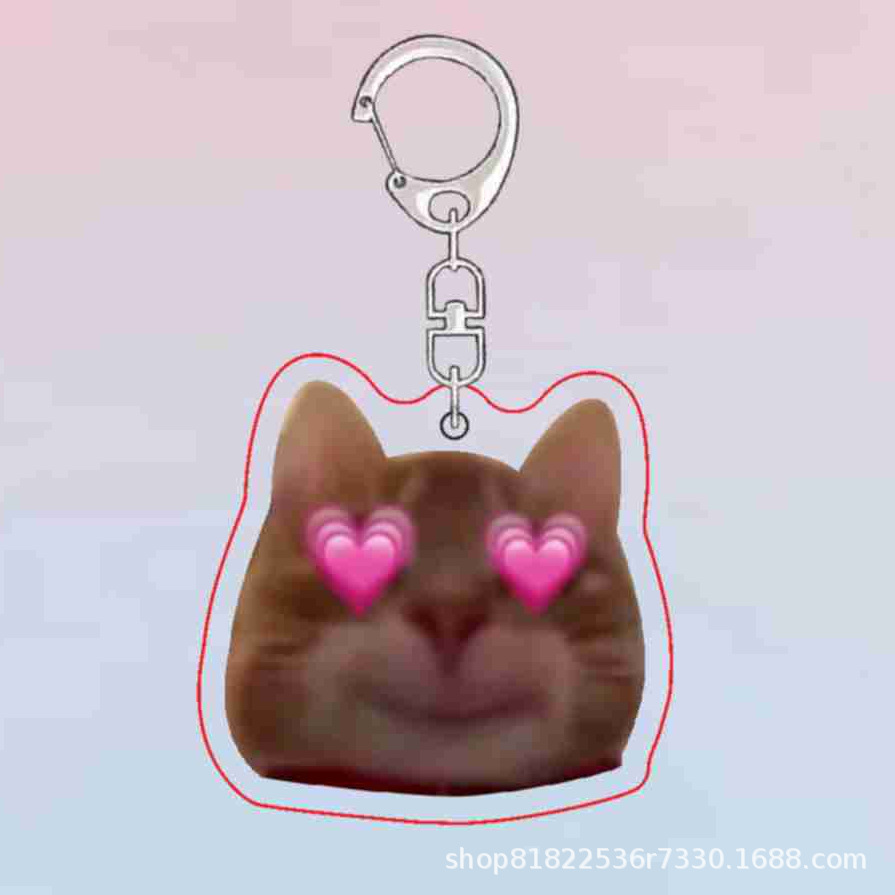 투약 고양이 B6672