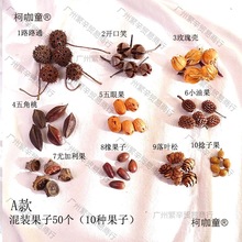 Ȼɹǧy׃@ֹbɹ̫