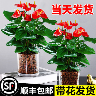 ˮ��t�����Ԏ������\���^һ���L��׻��ļ��_���ܾGֲ���҃Ⱥ��B