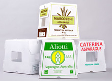 �S��ֱ��PP�пհ�ӡˢ�V���ƾ�ʾ��ӡˢ���b�������пհ�