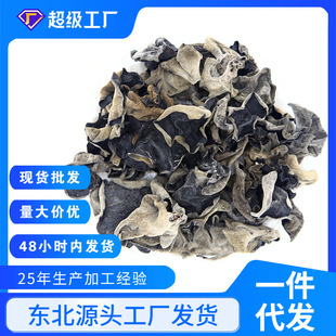 �긣ɽ��S�Җ|����ľ�����l��ľ��ľ�����lľ����؛