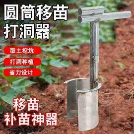 耙子;铲子;修枝剪