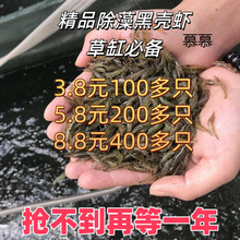 �ښ��r�����r����ײ͵�ˮ�^�p�r���坍�r�쾰�׳��幤���r