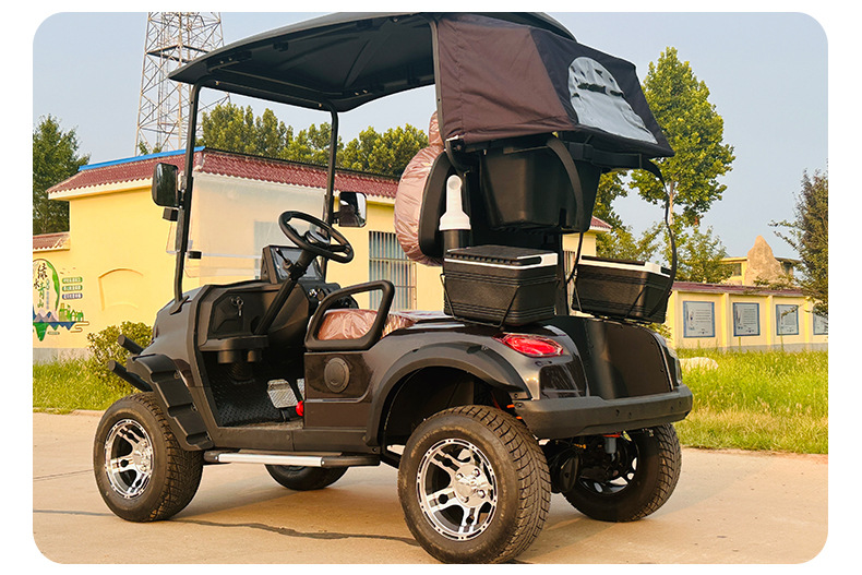 Manufacturer Scenic Spot Tourism Viewing Hotel Shuttle Electric Sightseeing Car Single Row Two-Seat Electric Golf Cart