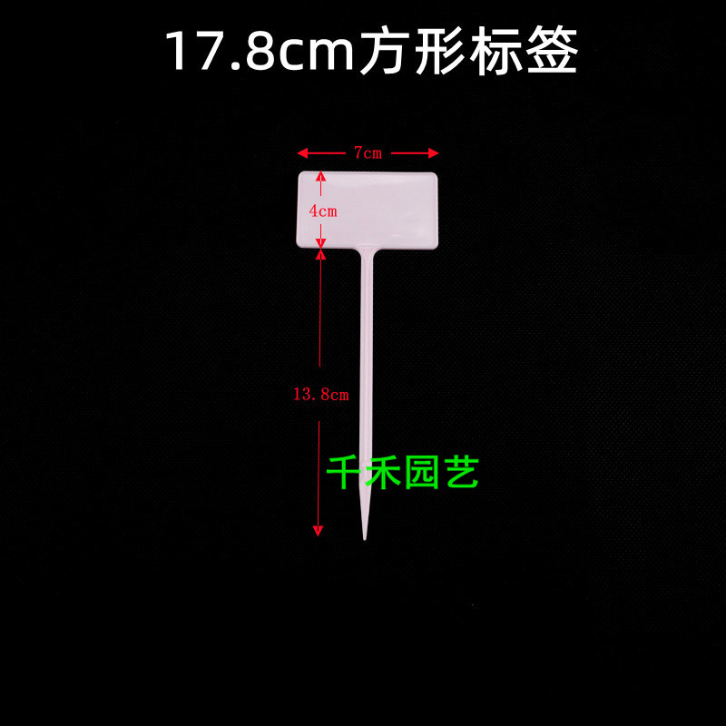 Pink 17.8cm square label