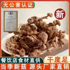其他干货;茶树菇;香菇