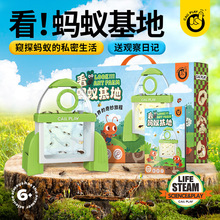 �S��ֱ�N 360��ȫ͸��ͯΛρ�^����ؿɲ�ж�؏�ʹ��Λρ�^�����b