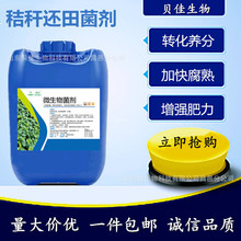 ΢ն߀NЙCʰl̈́ѷʸN