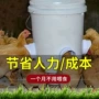 自动重力喂料定制喂食器