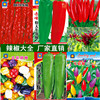 Vegetable seeds wholesale running rivers and lakes stalls seeds, fruit chili seeds, seed bags, original color bag floor stalls