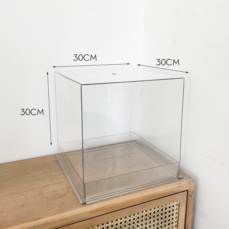 튤립 특수 꽃 상자 (3 개)