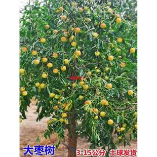 �ش󗗘���玧�����Ϙ�����մ������ͥԺ�������Ե��Խ�z������