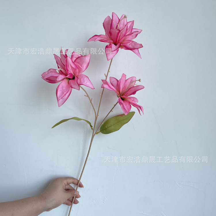 微信图片_202208111655473_副本