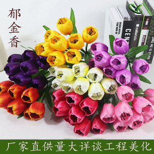 ���l�S��9�^��������滨�������������@�־G�����Q���滨������