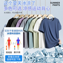 �ļ����z�����w�����ٸɌ�����ʿ�ܲ��\���»@������t������