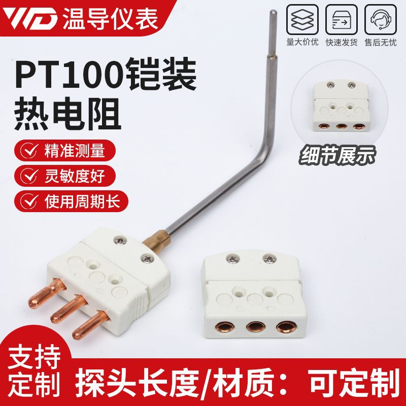 厂家供应PT100铠装热电阻 定 制热电阻温度传感器测温探头