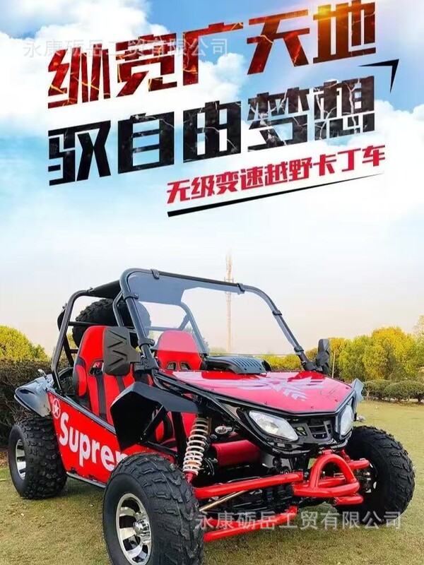 メーカーカスタマイズされた 2 人乗りオフロード カート 200cc 独立サスペンション大型 ATV 4 輪駆動カート|undefined