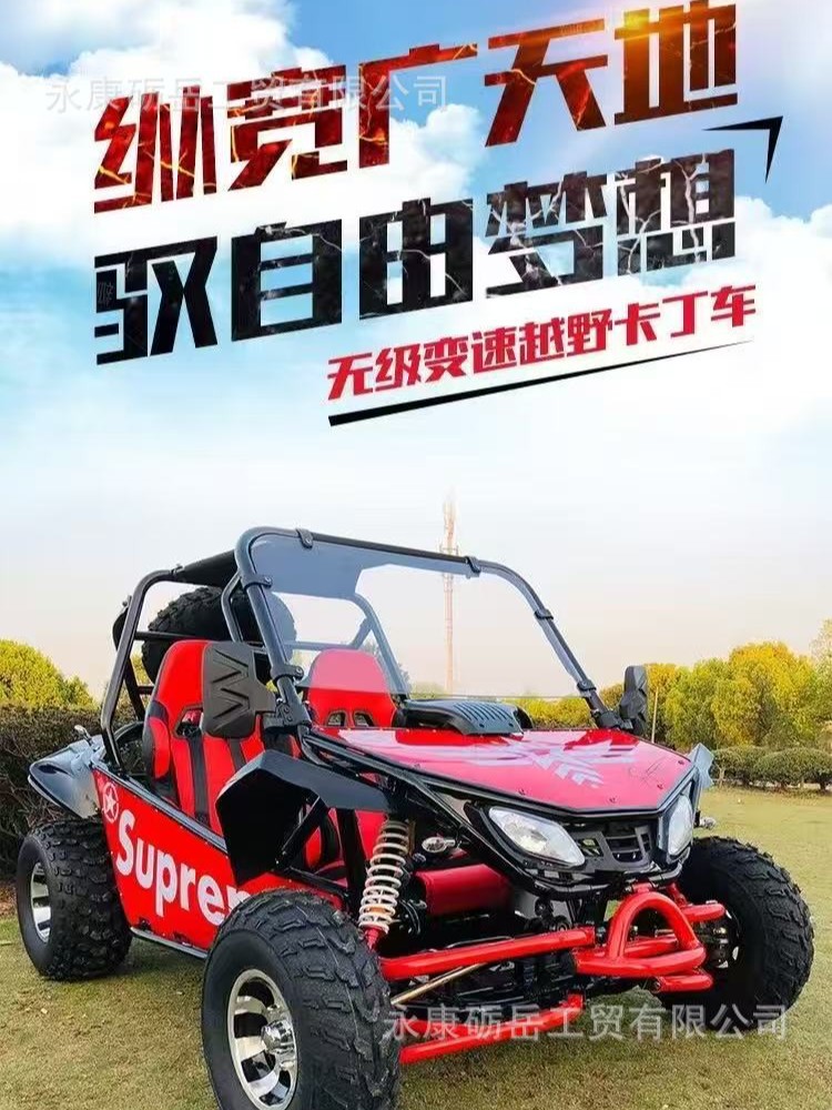 Los fabricantes personalizan el kart todoterreno biplaza 200cc suspensión independiente ATV grande 4 ruedas tracción en las cuatro ruedas kart