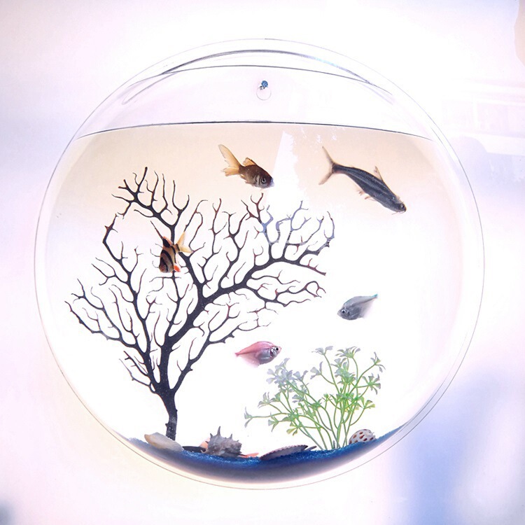 クリエイティブな花瓶、アクリルウォールステッカー、家の装飾、水槽、植木鉢、壁掛け、リビングルーム、レストラン|undefined
