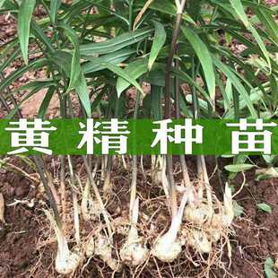 ���S���硿�S���Nֲ�罪�Ͷ໨���������S���ϻ����N����ș�ĵ�